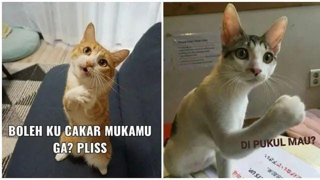 test artikel gabisa custom sumber caption